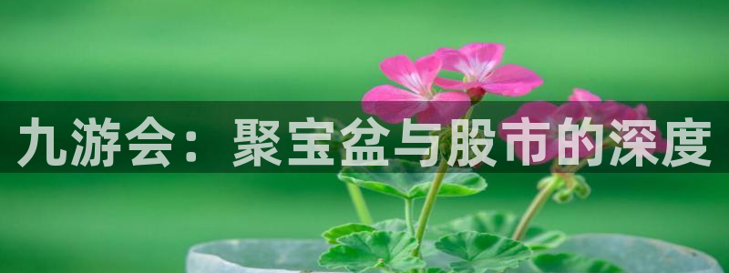 德国多多28g集团：九游会：聚宝盆与股市的深度