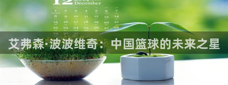 佛山市南海多多28g机电仪器有限公司：艾弗森·波波维奇：中国篮球的未来之星