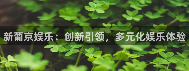 多多28g体育2官网入口：新葡京娱乐：创新引领，多元化娱乐体验
