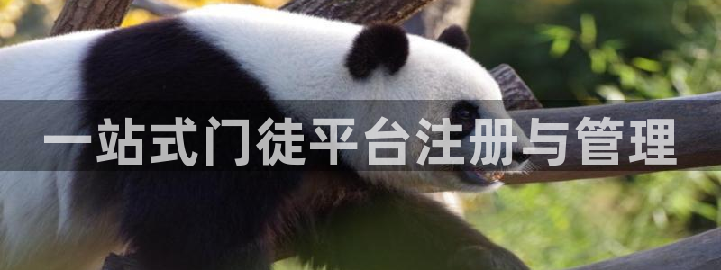 多多28g包怎么样：一站式门徒平台注册与管理