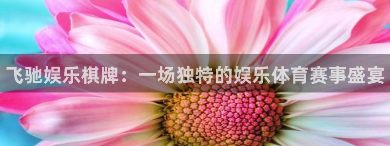 多多28g代理注册官网入口：飞驰娱乐棋牌：一场独特的娱乐体育赛事盛宴