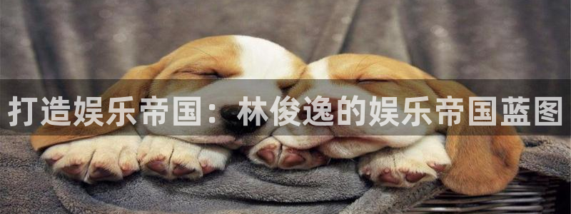 多多28g平台招商：打造娱乐帝国：林俊逸的娱乐帝国蓝图