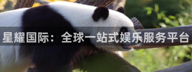 多多28g3平台登录注册：星耀国际：全球一站式娱乐服务平台