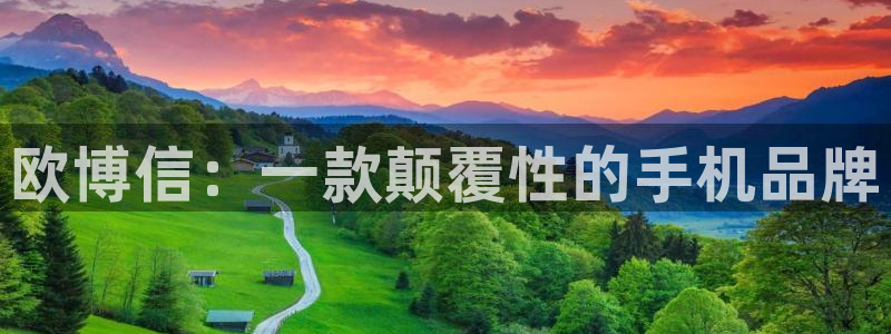 福建多多28g机电股份公司：欧博信：一款颠覆性的手机品牌