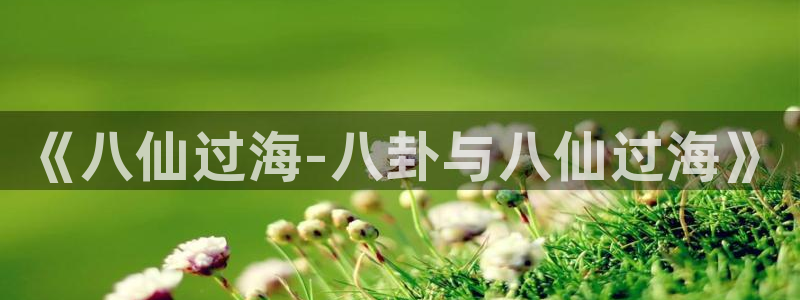 多多28g体育注册平台：《八仙过海-八卦与八仙过海》