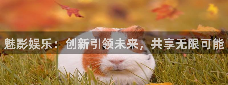 多多28g集团：魅影娱乐：创新引领未来，共享无限可能