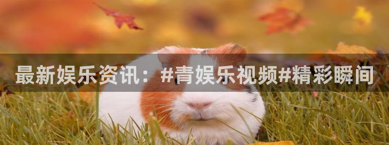 多多28g体育凯捷平台注册：最新娱乐资讯：#青娱乐视频#精彩瞬间