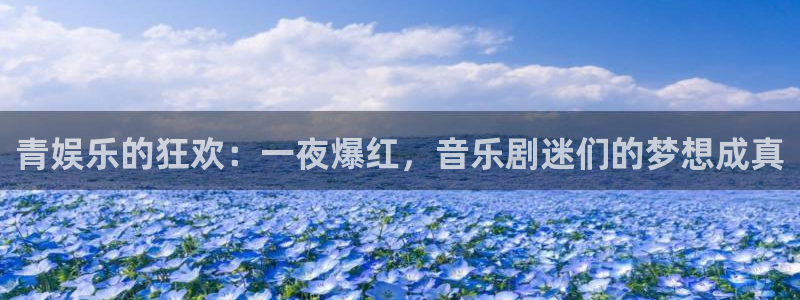 多多28g4代理：青娱乐的狂欢：一夜爆红，音乐剧迷们的梦想成真