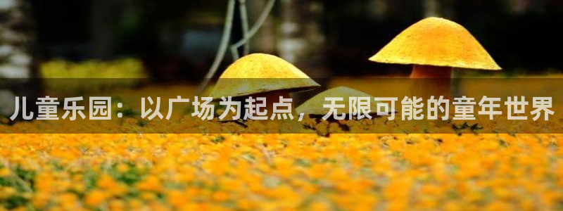 多多28g体育f开户：儿童乐园：以广场为起点，无限可能的童年世界
