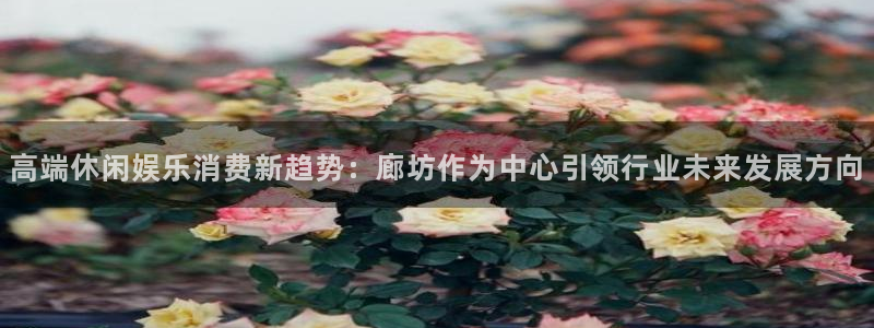 多多28g体育论坛：高端休闲娱乐消费新趋势：廊坊作为中心引领行业未来发展方向