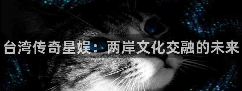 多多28g平台主管：台湾传奇星娱：两岸文化交融的未来