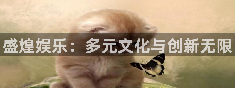 多多28g体育平台开号链接：盛煌娱乐：多元文化与创新无限