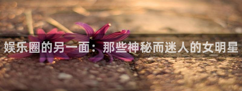 东莞市多多28g电子科技有限公司