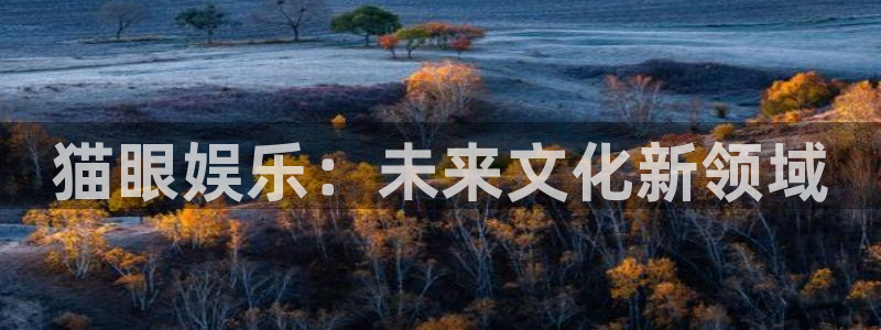 多多28g平台招商：猫眼娱乐：未来文化新领域