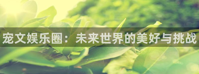 多多28g3登陆：宠文娱乐圈：未来世界的美好与挑战