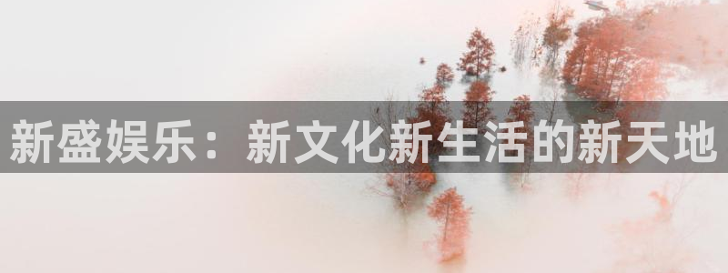 多多28g4代理：新盛娱乐：新文化新生活的新天地