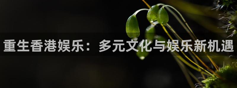 多多28g体育凯捷代理注册：重生香港娱乐：多元文化与娱乐新机遇