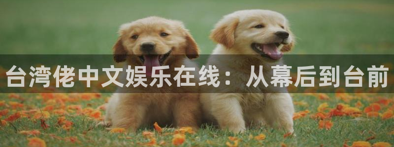 多多28g体育免费注册入口：台湾佬中文娱乐在线：从幕后到台前