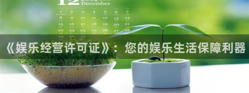 多多28g4代理：《娱乐经营许可证》：您的娱乐生活保障利器