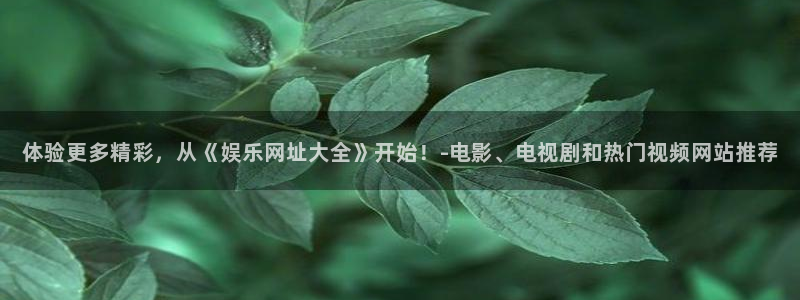 多多28g：体验更多精彩，从《娱乐网址大全》开始！-电影、电视剧和热门视频网站推